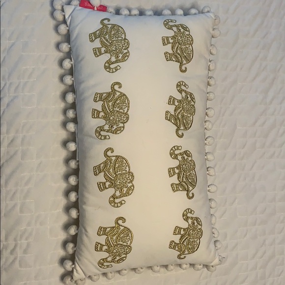 Other - Lily Pulitzer throw pillow.